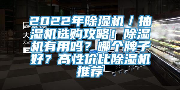 2022年除濕機/抽濕機選購攻略!除濕機有用嗎?哪個牌子好?高性價比除濕機推薦