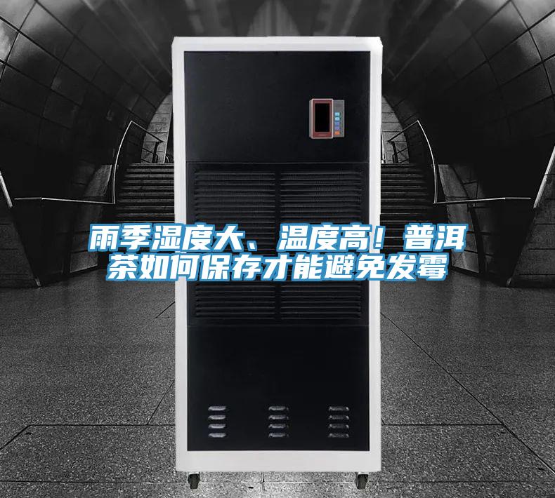 雨季濕度大、溫度高!普洱茶如何保存才能避免發(fā)霉