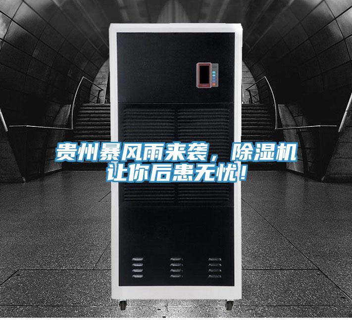貴州暴風雨來襲,除濕機讓你后患無憂!