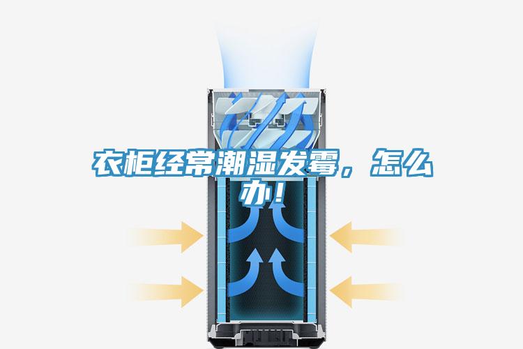 衣柜經常潮濕發霉，怎么辦！