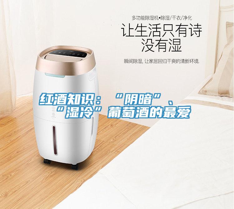 紅酒知識：“陰暗”、“濕冷”葡萄酒的最愛