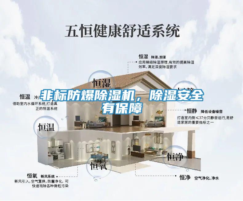 非標防爆除濕機,除濕安全有保障