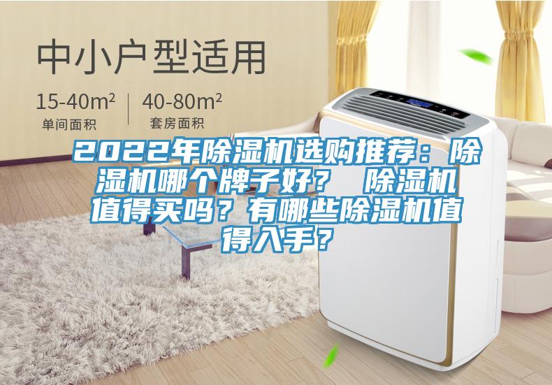2022年除濕機選購推薦:除濕機哪個牌子好? 除濕機值得買嗎?有哪些除濕機值得入手?