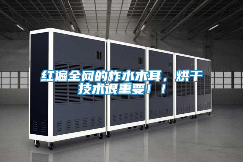 紅遍全網的柞水木耳，烘干技術很重要??！