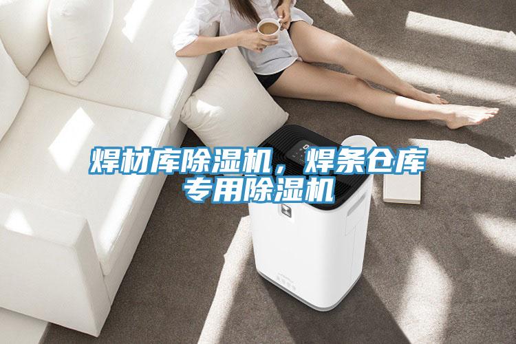 焊材庫除濕機,焊條倉庫專用除濕機