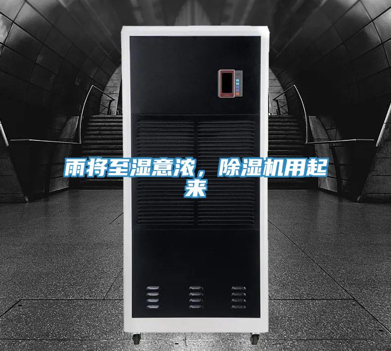 雨將至濕意濃，除濕機用起來