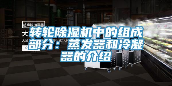 轉輪除濕機中的組成部分:蒸發器和冷凝器的介紹