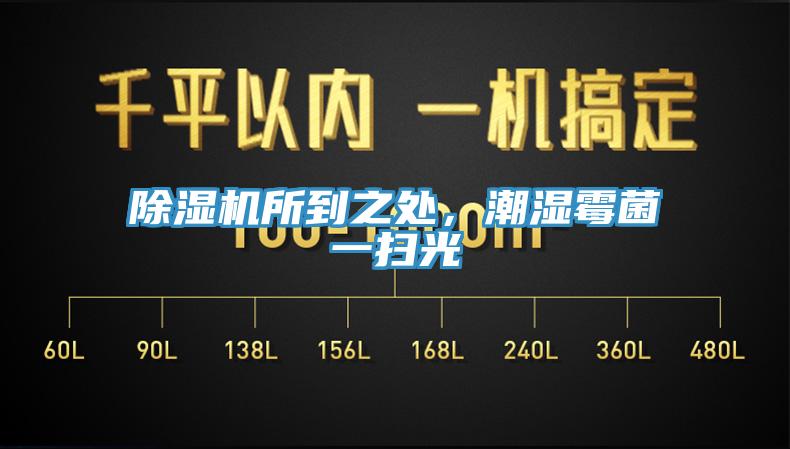 除濕機(jī)所到之處,潮濕霉菌一掃光