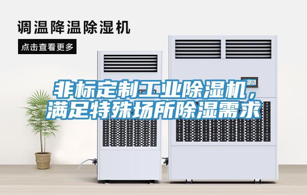 非標定制工業除濕機,滿足特殊場所除濕需求