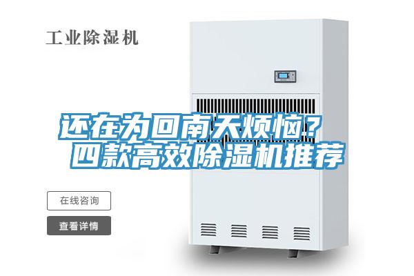 還在為回南天煩惱？ 四款高效除濕機推薦