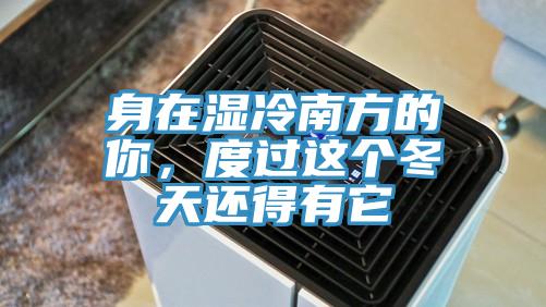 身在濕冷南方的你,度過這個冬天還得有它