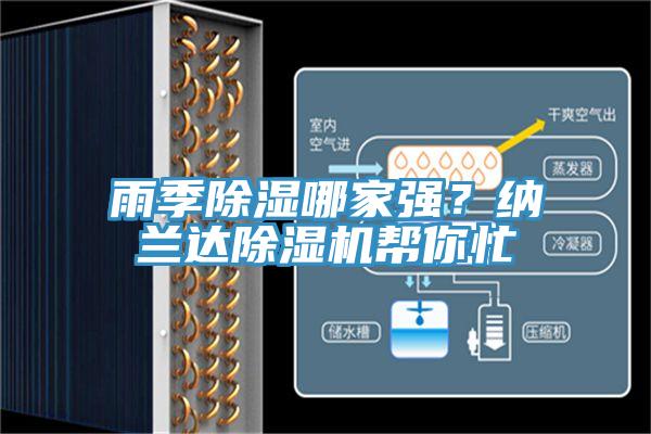 雨季除濕哪家強？納蘭達除濕機幫你忙