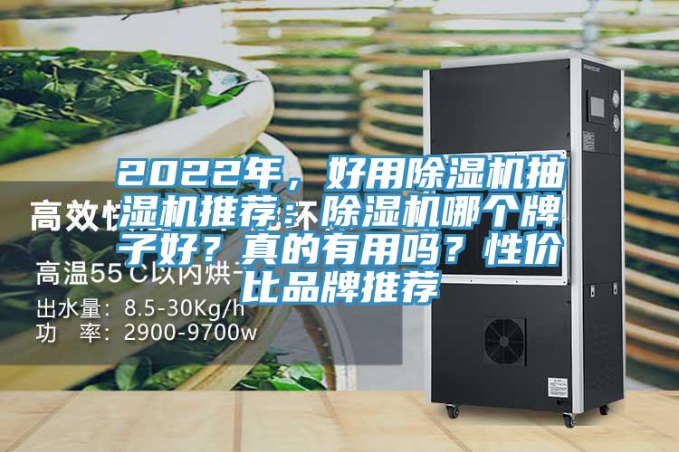 2022年,好用除濕機抽濕機推薦:除濕機哪個牌子好?真的有用嗎?性價比品牌推薦