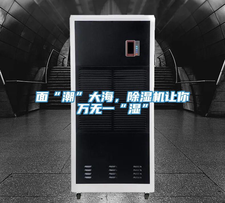 面“潮”大海，除濕機(jī)讓你萬無一“濕”