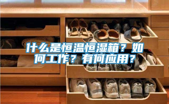 什么是恒溫恒濕箱？如何工作？有何應用？