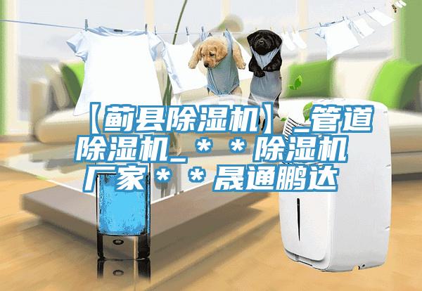 【薊縣除濕機(jī)】_管道除濕機(jī)_**除濕機(jī)廠家**晟通鵬達(dá)