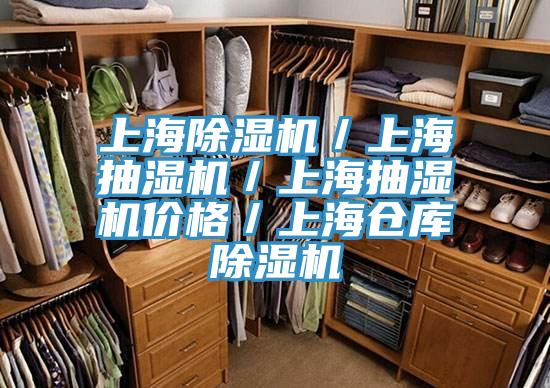 上海除濕機/上海抽濕機/上海抽濕機價格/上海倉庫除濕機