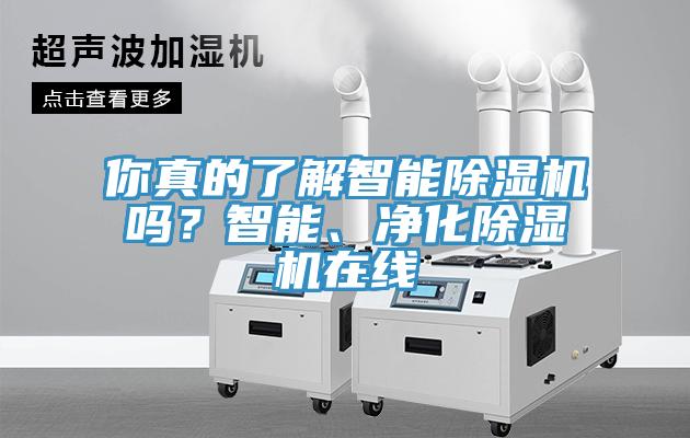你真的了解智能除濕機(jī)嗎?智能、凈化除濕機(jī)在線(xiàn)