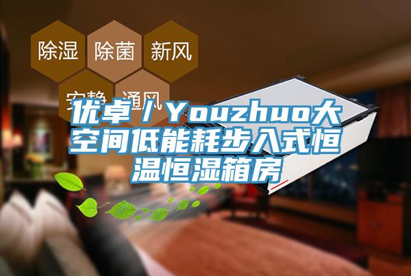 優卓/Youzhuo大空間低能耗步入式恒溫恒濕箱房