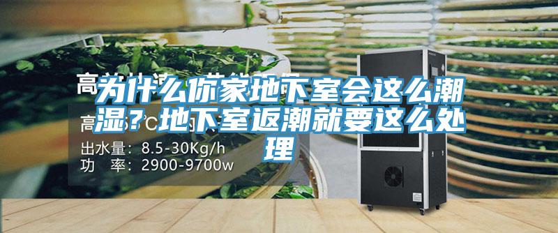 為什么你家地下室會這么潮濕？地下室返潮就要這么處理