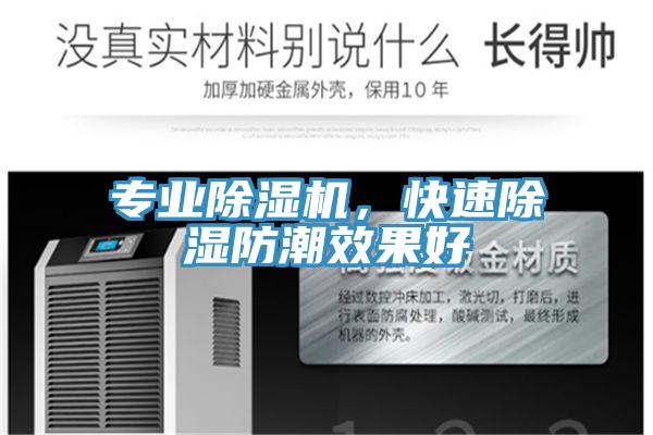 專業(yè)除濕機(jī),快速除濕防潮效果好
