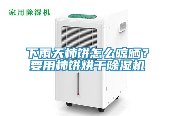 下雨天柿餅怎么晾曬?要用柿餅烘干除濕機