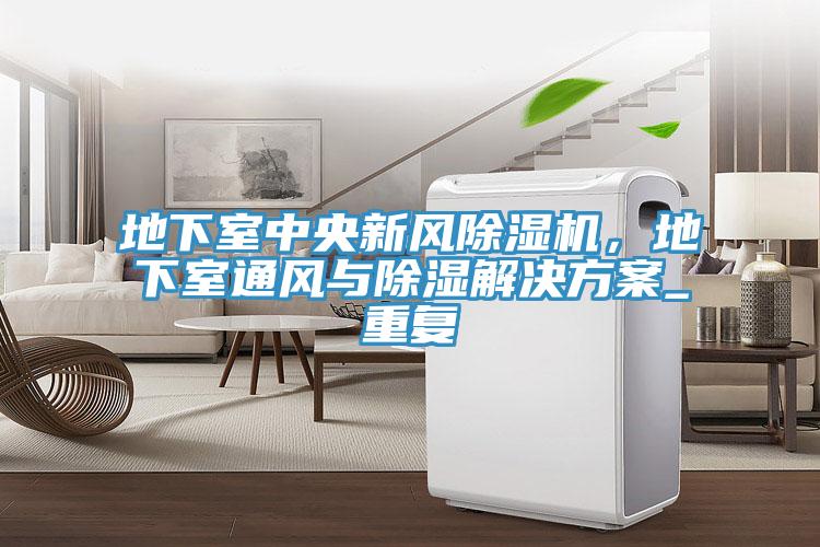 地下室中央新風除濕機,地下室通風與除濕解決方案_重復