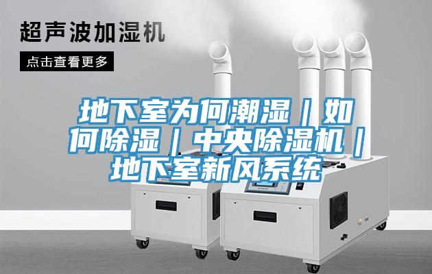 地下室為何潮濕|如何除濕|中央除濕機|地下室新風系統