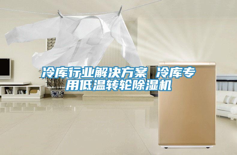 冷庫行業(yè)解決方案 冷庫專用低溫轉輪除濕機