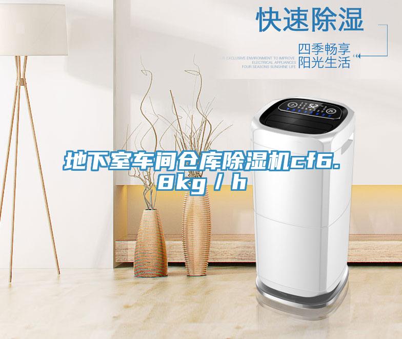 地下室車間倉(cāng)庫(kù)除濕機(jī)cf6.8kg/h