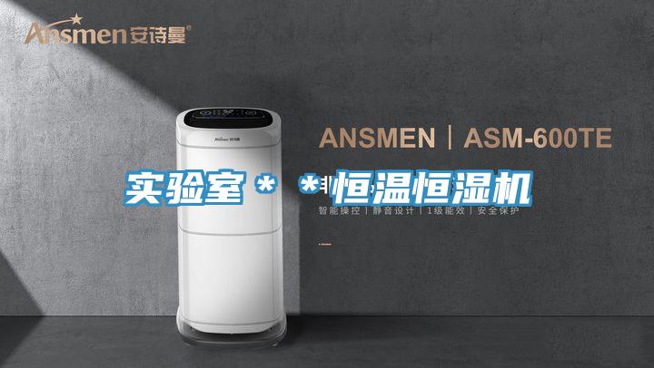 實(shí)驗(yàn)室**恒溫恒濕機(jī)