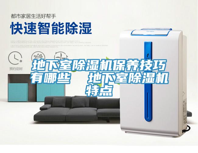 地下室除濕機保養技巧有哪些 地下室除濕機特點