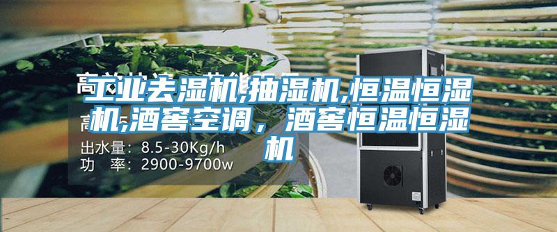 工業(yè)去濕機,抽濕機,恒溫恒濕機,酒窖空調,酒窖恒溫恒濕機