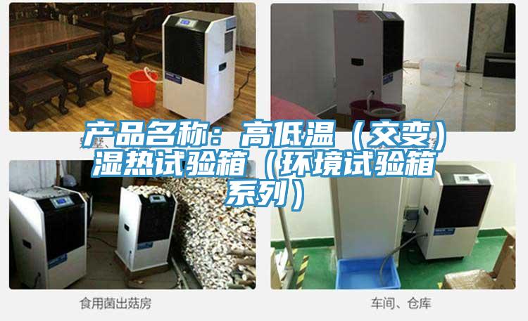 產品名稱:高低溫(交變)濕熱試驗箱(環(huán)境試驗箱系列)