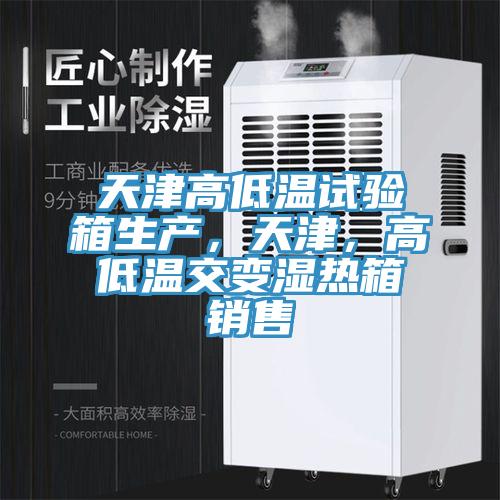 天津高低溫試驗箱生產(chǎn),天津,高低溫交變濕熱箱銷售