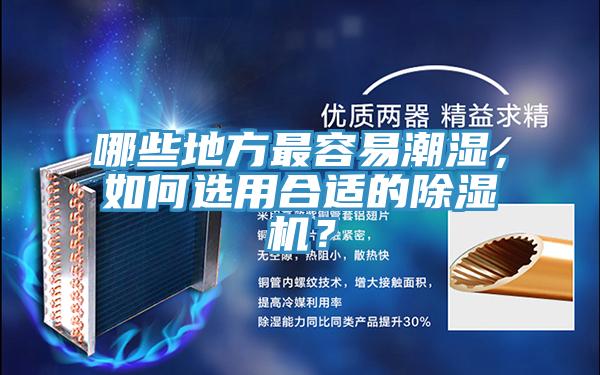 哪些地方最容易潮濕，如何選用合適的除濕機(jī)？