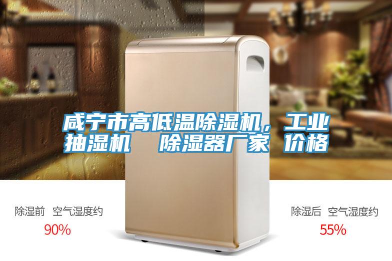 咸寧市高低溫除濕機,工業抽濕機 除濕器廠家 價格