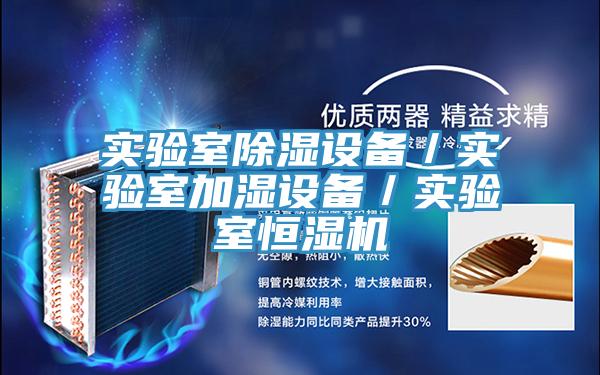 實(shí)驗(yàn)室除濕設(shè)備/實(shí)驗(yàn)室加濕設(shè)備/實(shí)驗(yàn)室恒濕機(jī)