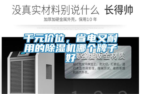 千元價(jià)位,省電又耐用的除濕機(jī)哪個(gè)牌子好