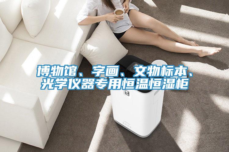 博物館、字畫、文物標本、光學儀器專用恒溫恒濕柜