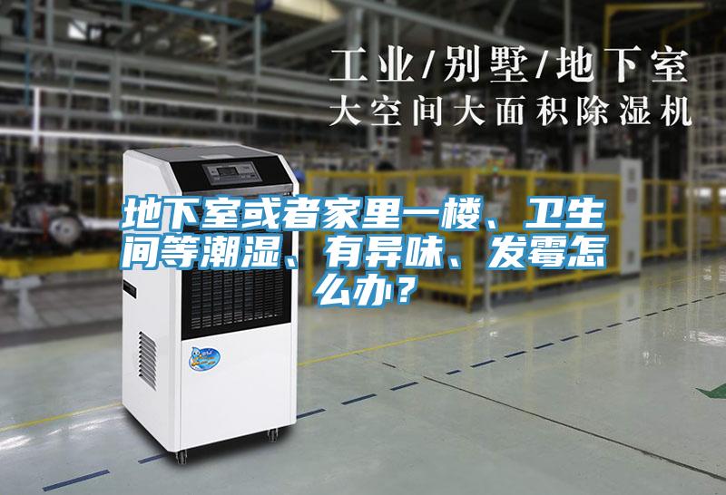地下室或者家里一樓、衛(wèi)生間等潮濕、有異味、發(fā)霉怎么辦?
