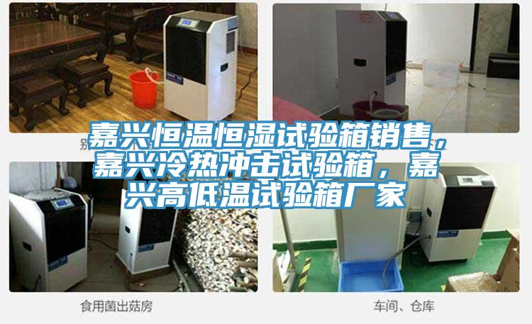 嘉興恒溫恒濕試驗箱銷售,嘉興冷熱沖擊試驗箱,嘉興高低溫試驗箱廠家