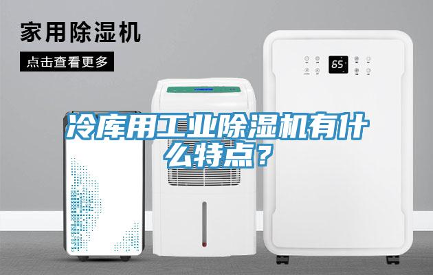 冷庫用工業(yè)除濕機有什么特點?