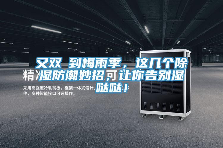 又雙叒到梅雨季,這幾個除濕防潮妙招,讓你告別濕噠噠!