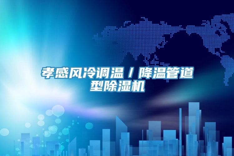 孝感風冷調(diào)溫/降溫管道型除濕機