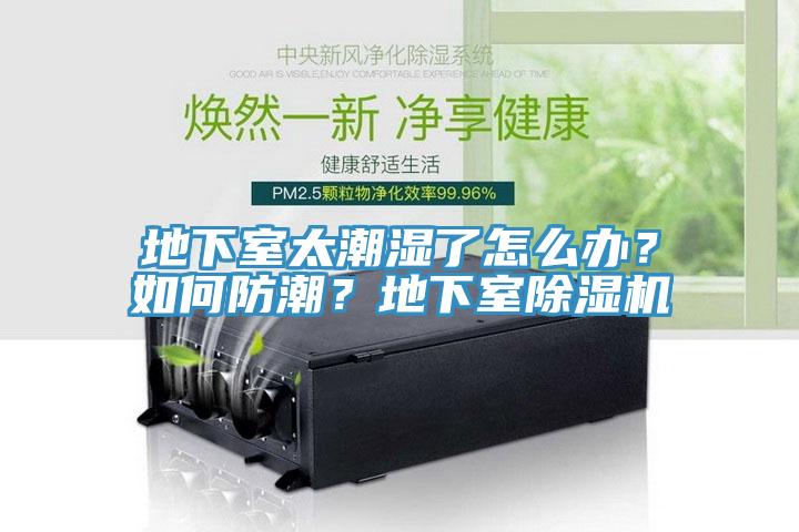 地下室太潮濕了怎么辦?如何防潮?地下室除濕機