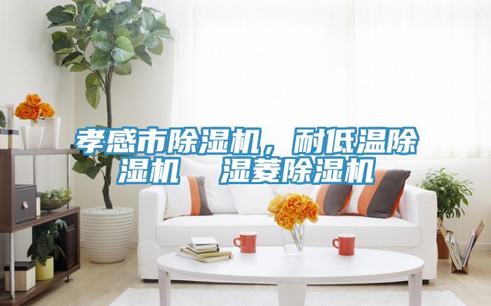 孝感市除濕機,耐低溫除濕機 濕菱除濕機