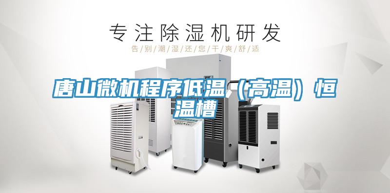 唐山微機程序低溫(高溫)恒溫槽