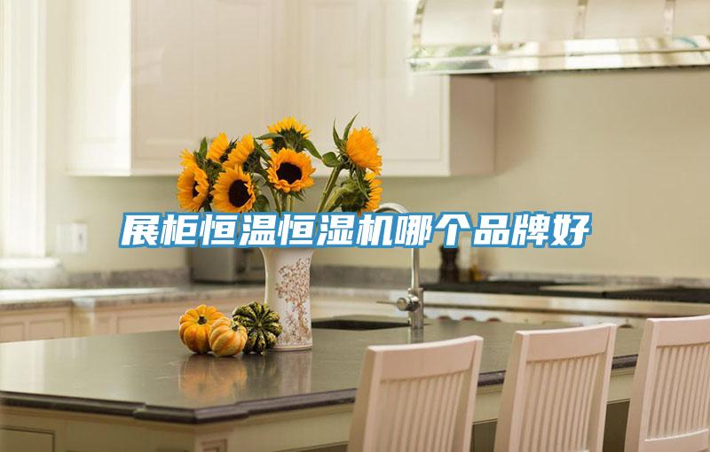 展柜恒溫恒濕機(jī)哪個(gè)品牌好