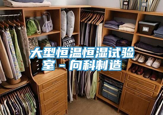 大型恒溫恒濕試驗室-向科制造